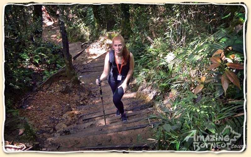 Mount Kinabalu Fast Track